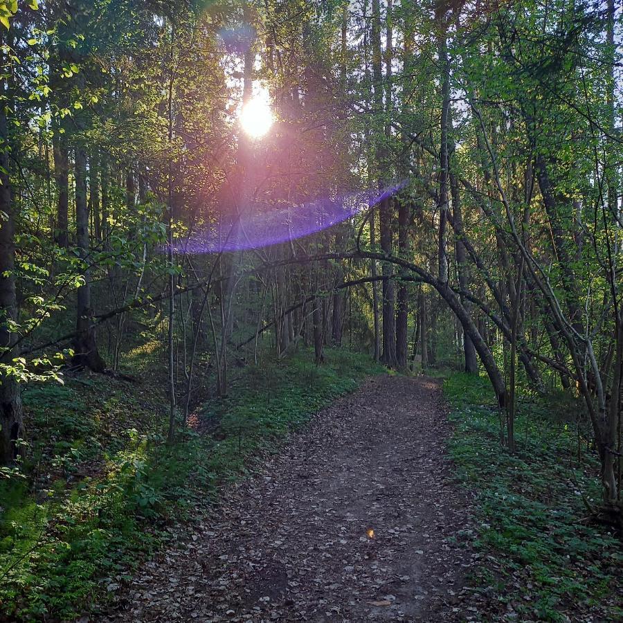 Apartmán Ozolu Gatve 2- No Cesim 7 Km Jānamuiža Exteriér fotografie