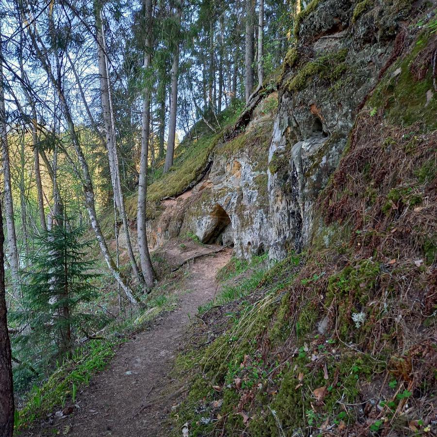 Apartmán Ozolu Gatve 2- No Cesim 7 Km Jānamuiža Exteriér fotografie
